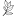 aachener-naturheilpraxis.de
