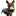 abruzzomio.de