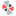 acorn.ro