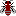 aculeata.de
