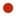 adpianum.de