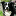 agilepaws-bordercollies.de
