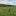 wiesenkinder.de