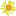 wildkraeuter-erleben.de