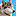 wolfacademy-hundegesundheit-shop.de