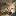 wolfol.de