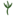zedernprodukte.de