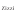 zizzishop.de
