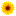 znshinesolar.ro