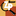 zpshop.de